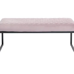 Bank Smart Rosa Schwarz 90X40Cm