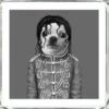 Bild Frame Mirror King Dog 60X60