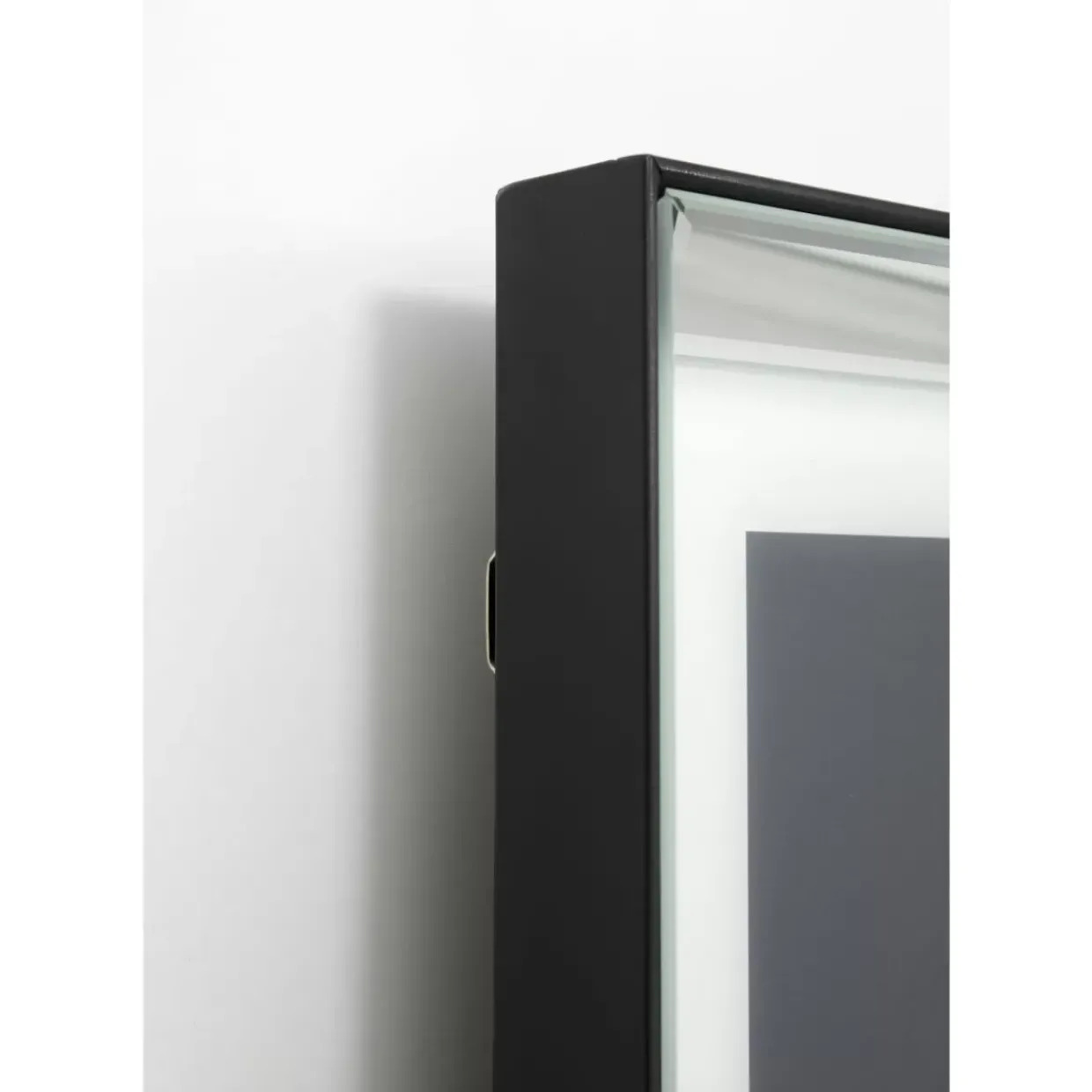 Bild Frame Mirror King Dog 60X60