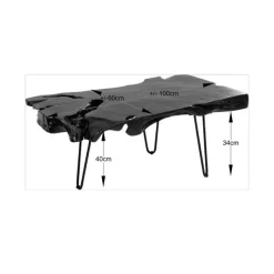 Couchtisch Aspen Schwarz 100X40
