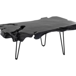 Couchtisch Aspen Schwarz 100X40