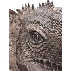 Deko Objekt Iguana 135Cm