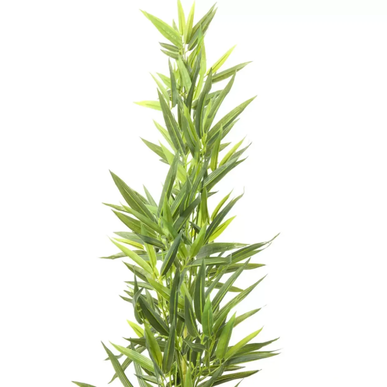 Deko Pflanze Bamboo Tree 200Cm
