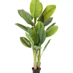 Deko Pflanze Banana Tree 180Cm