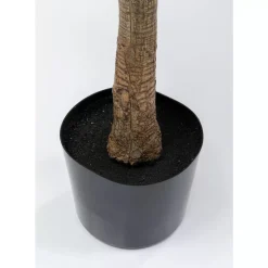 Deko Pflanze Dracaena Fragrans 180Cm