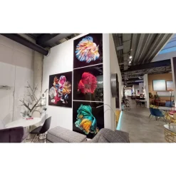 Glasbild Aqua Queen Fish 100X100Cm