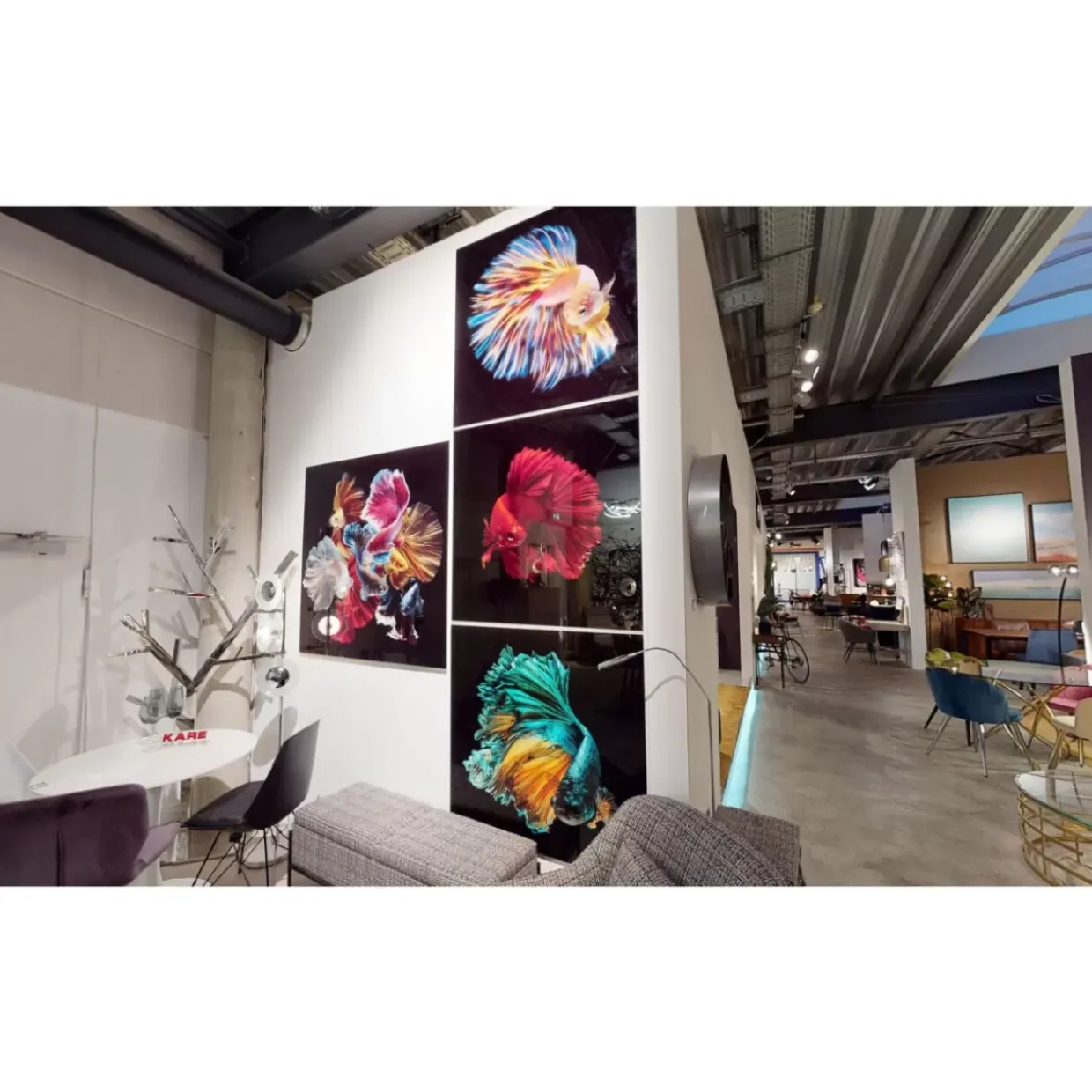 Glasbild Aqua Queen Fish 100X100Cm
