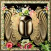 Glasbild Beetle Flower 100X100Cm
