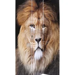 Paravent King Lion Vs Cat Girl 120X180Cm