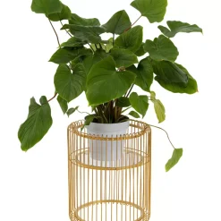 Pflanzenstander Wire Gold 44Cm