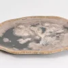 Platte Elfenbos Versteinertes Holz