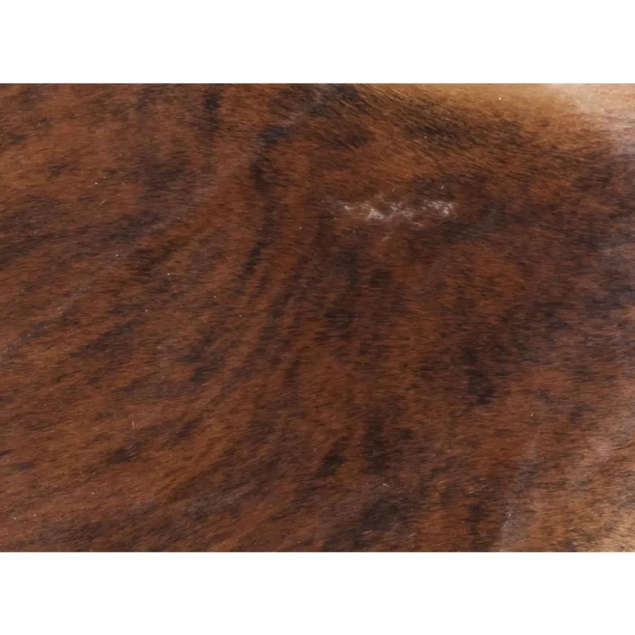 Teppich Hide Braun-Weis 150X190Cm