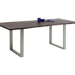 Tisch Harmony Dunkel Silber 180X90