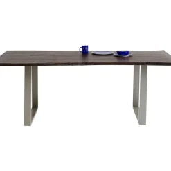 Tisch Harmony Dunkel Silber 200X100