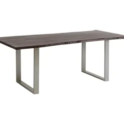 Tisch Harmony Dunkel Silber 200X100