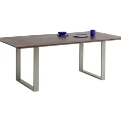 Tisch Symphony Dunkel Silber 200X100
