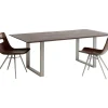 Tisch Symphony Dunkel Silber 180X90
