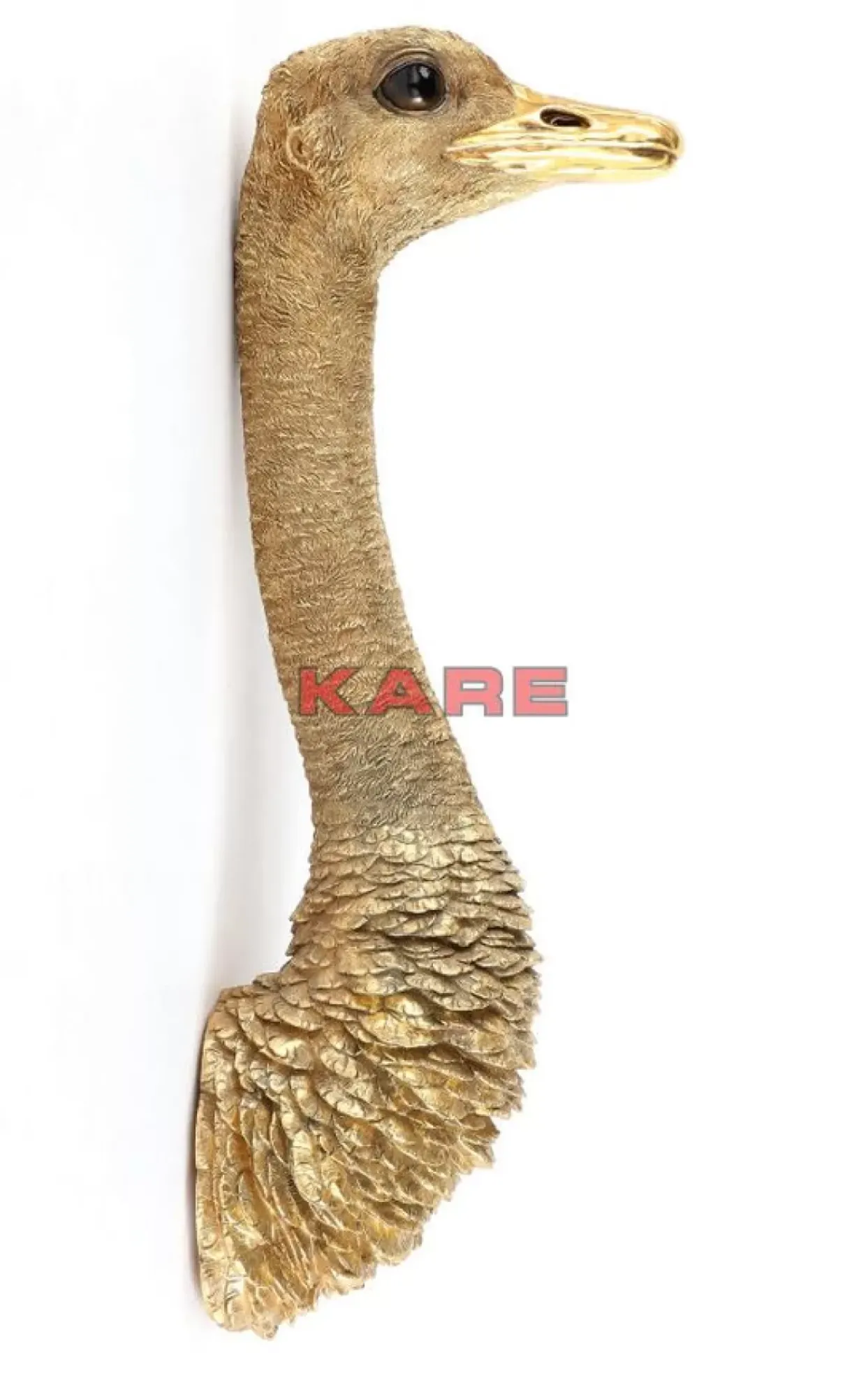 Wandschmuck Ostrich Gold